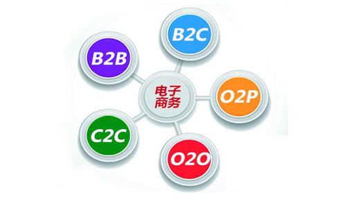 电子商务专业三大类